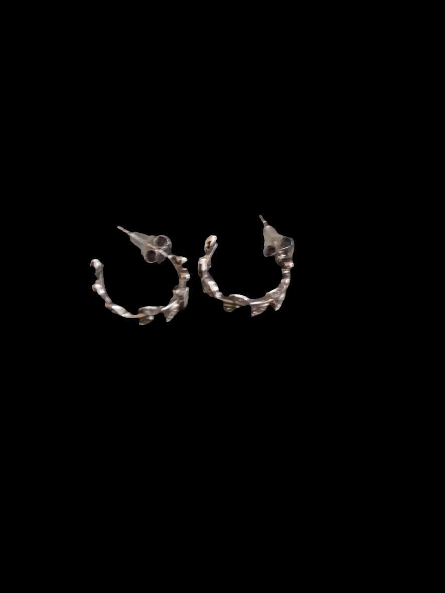 Sterling sliver earrings